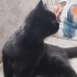 Minnok