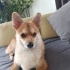Viny