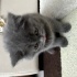 Noname