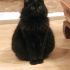 Sebastian