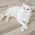 Casper