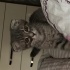 Fiona