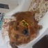 Pako