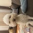 Tony