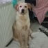 Ares