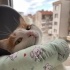 Ceku