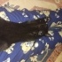 Gece