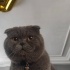 Kettle