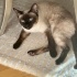 Lumi