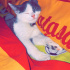 Duman
