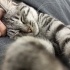 Kiri