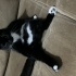Zeytin