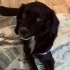 zeytin