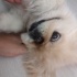Betty