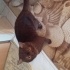 Soldi