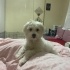 Banu