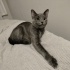 Masha