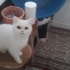 Eylül