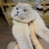 Casper