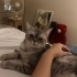 Miti