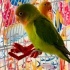 Luky