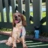 Barney