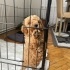 Cookie