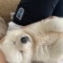 Samu