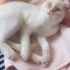 Eylül