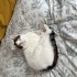 Faruk