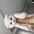 Pamuk