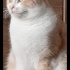 Hera