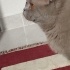Karamel