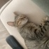 Yumoş