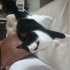 Oskar