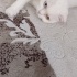 Pamuk