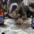 EFES