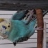 Boncuk