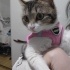 Meryem