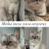 misha