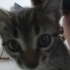 Khajiit