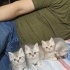 Alfa, Mira, Lina ve...