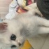 Kahve
