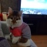Lady