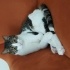 Çevik