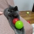 PAMUK