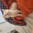 LEGOLAS