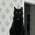 Patik