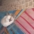 Lili ve fıfı