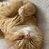 Simba